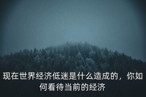 現(xiàn)在世界經(jīng)濟低迷是什么造成的，你如何看待當前的經(jīng)濟