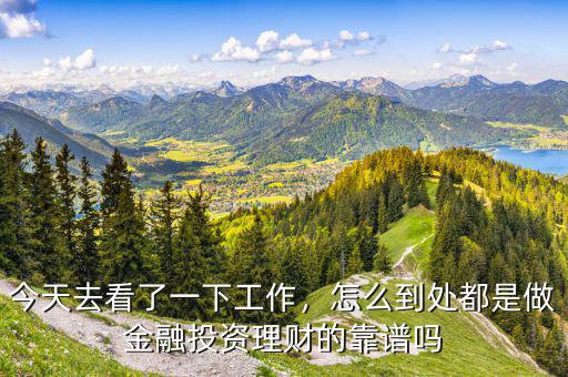 今天去看了一下工作，怎么到處都是做金融投資理財?shù)目孔V嗎