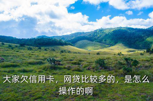 大家欠信用卡，網(wǎng)貸比較多的，是怎么操作的啊
