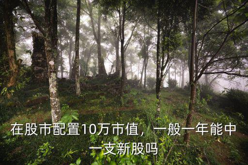 在股市配置10萬(wàn)市值，一般一年能中一支新股嗎