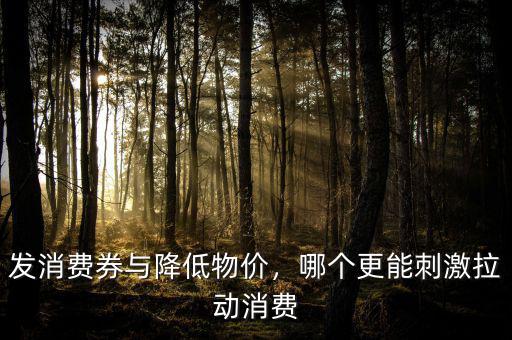 發(fā)消費(fèi)券與降低物價(jià)，哪個(gè)更能刺激拉動(dòng)消費(fèi)