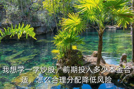 我想學(xué)一學(xué)炒股，前期投入多少本金合適，怎么合理分配降低風(fēng)險(xiǎn)