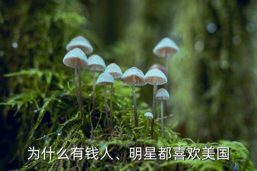 為什么有錢人、明星都喜歡美國(guó)