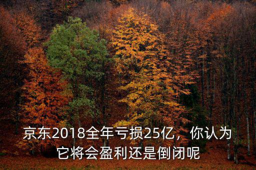京東2018全年虧損25億，你認(rèn)為它將會盈利還是倒閉呢