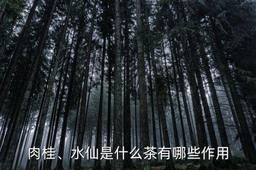 肉桂、水仙是什么茶有哪些作用