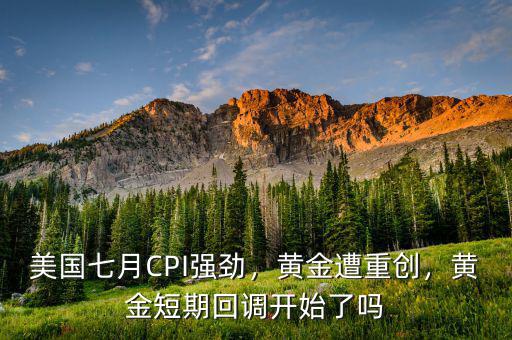 美國(guó)七月CPI強(qiáng)勁，黃金遭重創(chuàng)，黃金短期回調(diào)開始了嗎