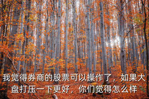 我覺得券商的股票可以操作了，如果大盤打壓一下更好，你們覺得怎么樣