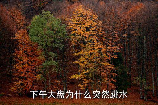 下午大盤(pán)為什么突然跳水