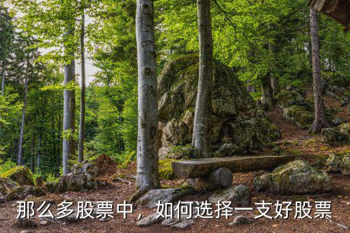 那么多股票中，如何選擇一支好股票