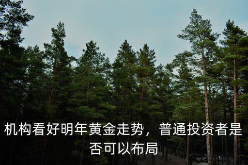 機(jī)構(gòu)看好明年黃金走勢，普通投資者是否可以布局