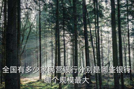 全國(guó)有多少家民營(yíng)銀行分別是哪些銀行哪個(gè)規(guī)模最大