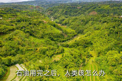 石油用完之后，人類該怎么辦