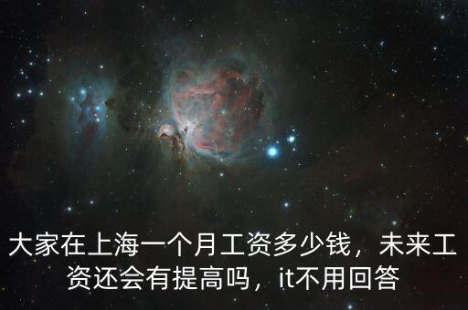 大家在上海一個月工資多少錢，未來工資還會有提高嗎，it不用回答