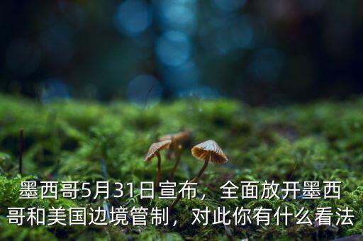 墨西哥5月31日宣布，全面放開墨西哥和美國邊境管制，對此你有什么看法