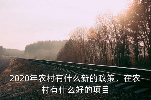 2020年農(nóng)村有什么新的政策，在農(nóng)村有什么好的項(xiàng)目