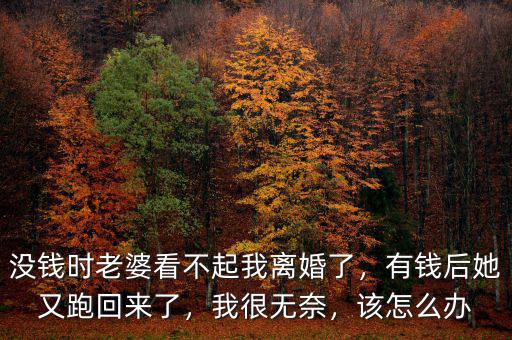 沒(méi)錢時(shí)老婆看不起我離婚了，有錢后她又跑回來(lái)了，我很無(wú)奈，該怎么辦