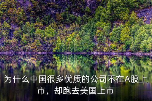 為什么中國(guó)很多優(yōu)質(zhì)的公司不在A股上市，卻跑去美國(guó)上市