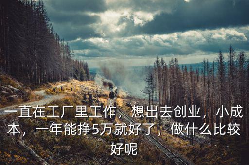 一直在工廠(chǎng)里工作，想出去創(chuàng)業(yè)，小成本，一年能掙5萬(wàn)就好了，做什么比較好呢
