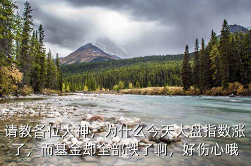 請教各位大神，為什么今天大盤指數漲了，而基金卻全部跌了啊，好傷心哦