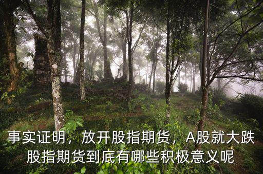 事實證明，放開股指期貨，A股就大跌股指期貨到底有哪些積極意義呢