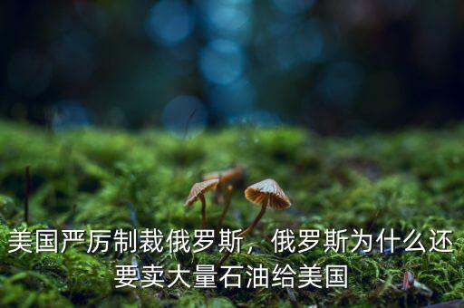 美國嚴(yán)厲制裁俄羅斯，俄羅斯為什么還要賣大量石油給美國
