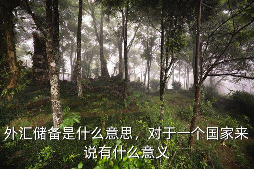 外匯儲(chǔ)備是什么意思，對(duì)于一個(gè)國家來說有什么意義