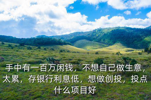 手中有一百萬閑錢，不想自己做生意，太累，存銀行利息低，想做創(chuàng)投，投點什么項目好