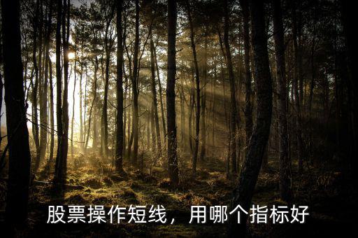 股票短線(xiàn)什么意思,股票操作短線(xiàn)