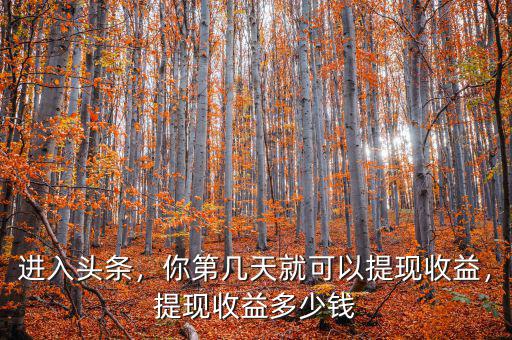 進入頭條，你第幾天就可以提現(xiàn)收益，提現(xiàn)收益多少錢