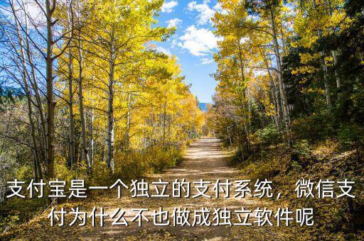 支付寶是一個(gè)獨(dú)立的支付系統(tǒng)，微信支付為什么不也做成獨(dú)立軟件呢