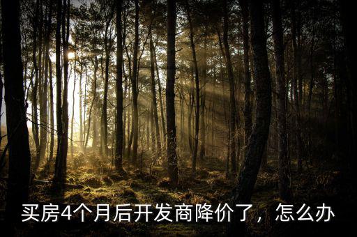 買房4個月后開發(fā)商降價了，怎么辦