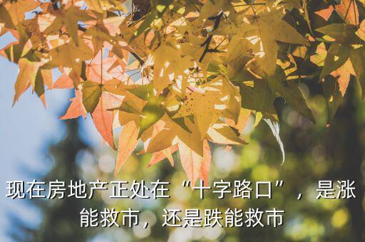 現(xiàn)在房地產(chǎn)正處在“十字路口”，是漲能救市，還是跌能救市