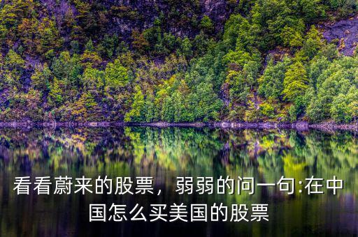 看看蔚來的股票，弱弱的問一句:在中國(guó)怎么買美國(guó)的股票