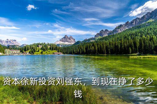 資本徐新投資劉強(qiáng)東，到現(xiàn)在掙了多少錢(qián)