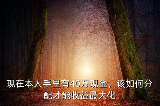 現(xiàn)在本人手里有40萬現(xiàn)金，該如何分配才能收益最大化