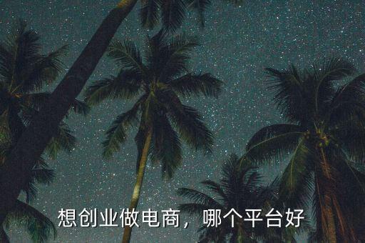 想創(chuàng)業(yè)做電商，哪個平臺好