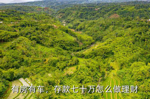 有房有車(chē)，存款七十萬(wàn)怎么做理財(cái)
