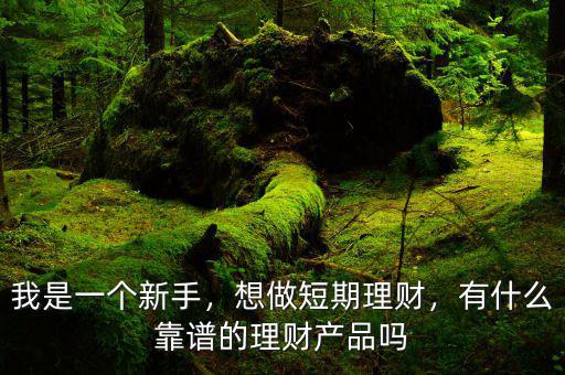 我是一個(gè)新手，想做短期理財(cái)，有什么靠譜的理財(cái)產(chǎn)品嗎