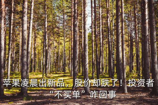 蘋果凌晨出新品，股價卻跌了！投資者“不買單”咋回事