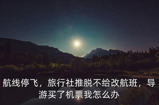 航線停飛，旅行社推脫不給改航班，導(dǎo)游買了機(jī)票我怎么辦