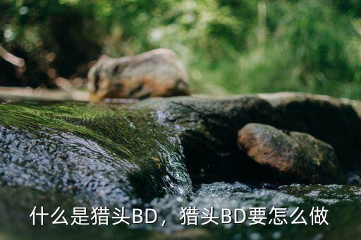 什么是獵頭BD，獵頭BD要怎么做