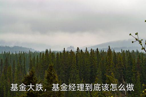 基金大跌，基金經(jīng)理到底該怎么做