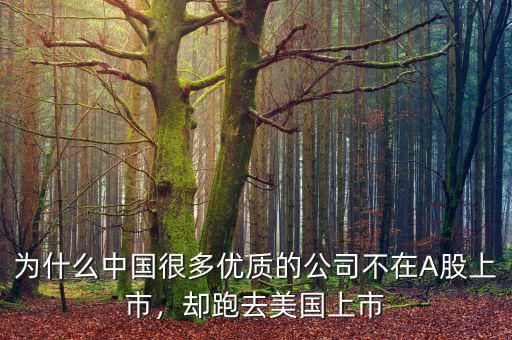為什么中國很多優(yōu)質(zhì)的公司不在A股上市，卻跑去美國上市