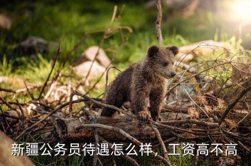 新疆公務(wù)員待遇怎么樣，工資高不高