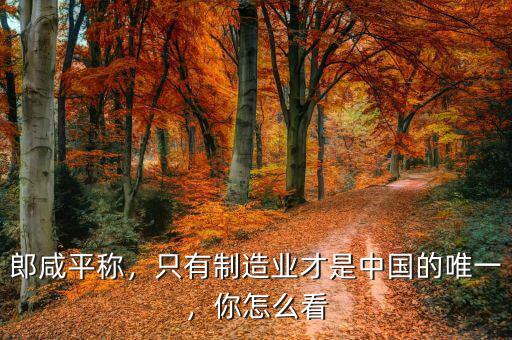 郎咸平稱，只有制造業(yè)才是中國(guó)的唯一，你怎么看