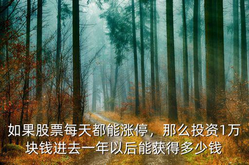 如果股票每天都能漲停，那么投資1萬塊錢進(jìn)去一年以后能獲得多少錢