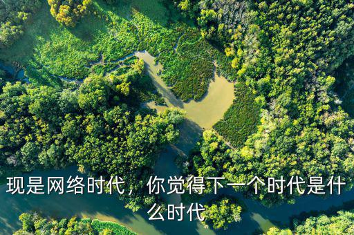 現(xiàn)是網(wǎng)絡時代，你覺得下一個時代是什么時代