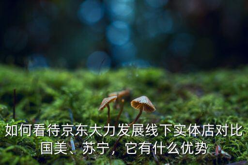 如何看待京東大力發(fā)展線下實體店對比國美、蘇寧，它有什么優(yōu)勢