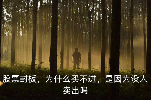 股票封板，為什么買不進(jìn)，是因?yàn)闆](méi)人賣出嗎