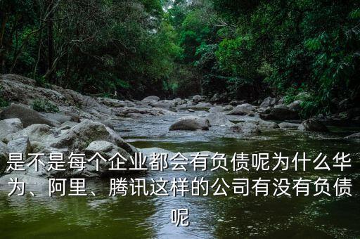 是不是每個企業(yè)都會有負債呢為什么華為、阿里、騰訊這樣的公司有沒有負債呢